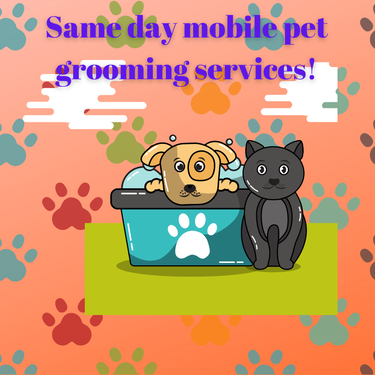 Hills Mobile Pet Grooming